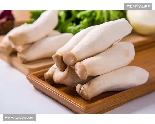 烹饪掌中乾坤：指尖上的美味盛宴